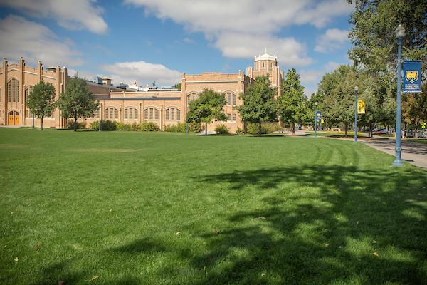 Outdoor space behind Gunter Hall