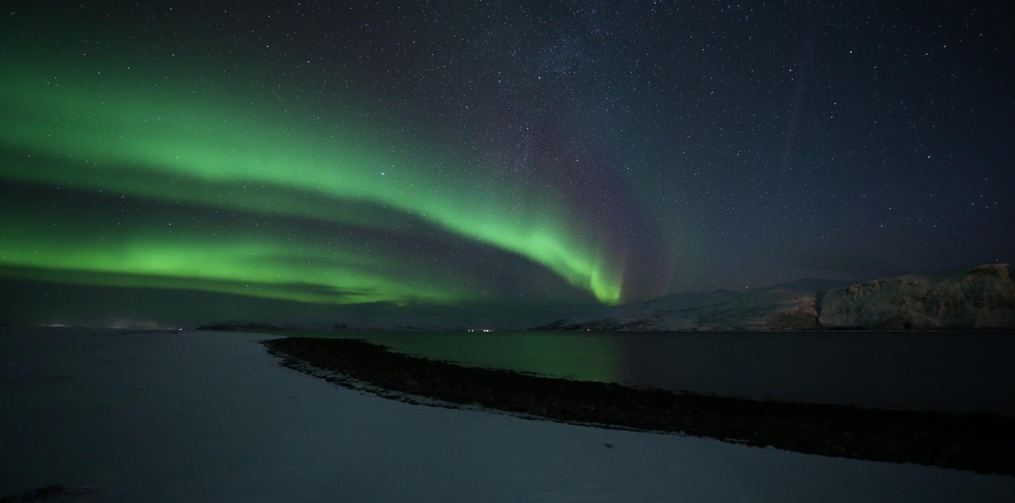 Wavy, glistening green lights in a dark sky above a Norwegian city. 